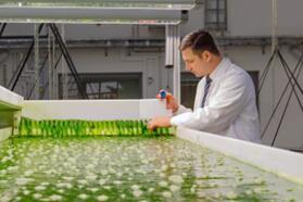 德大学研发以藻类制备碳纤维轻质建筑材料的制造工艺