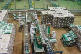 【热点新闻】盘点药品包装自动化领域的新兴技术