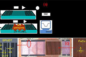 基于铁钴磁致伸缩敏感膜的新型声表面波磁场传感器研制成功