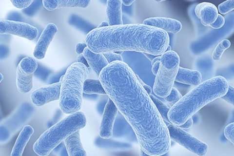 研究表明杜邦™丹尼斯克® 利体素®水溶性膳食纤维对微生物组的影响
