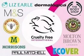 首次试点：一部分化妆品企业无需进行动物测试，就可进入中国