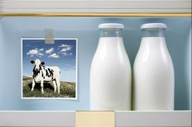 中国奶业进入补钙期