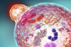 今年，雅诗兰黛对外发布的6项研发成果