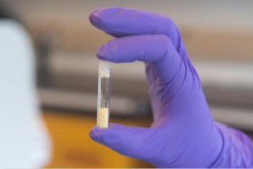 食品废弃物转化为可降解生物3D打印材料？Genecis公司是如何做到的？