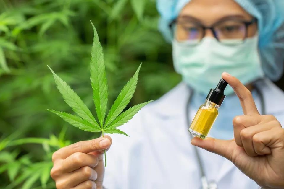3101个样本，剖析欧洲市场的CBD需求