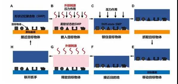 智能塑料再得一分，浙大学者制造“万能抓手”
