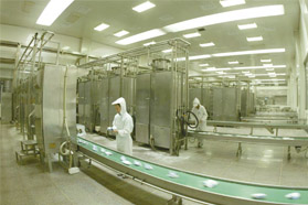 尖端的灵活性技术