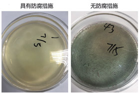常用无添加防腐剂的概述