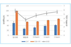 二裂酵母与护肤