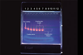 用于太空与地球的自灭菌/无DNA涂料