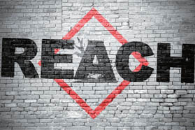 颜料市场发展与挑战并存