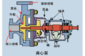 离心泵的设计及应用