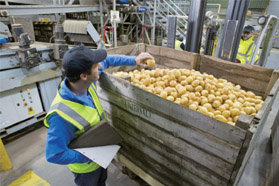 如何在仓储端整合产品的可追溯性