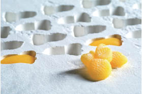 共享健康新生活：天然健康原料助力食品产业发展