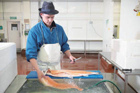 工艺纯度提升副产品价值