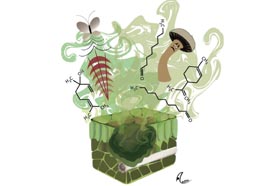 绿色涂料