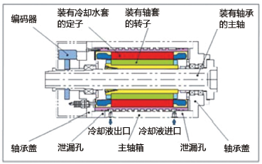 图2. 电主轴的典型结构