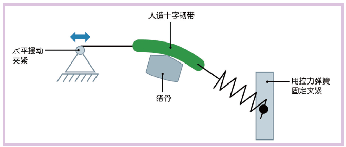 图3 采用框架和附加揉擦位置进行的测试。利用经改造的Bechlenberg测试表征涂布层结构的磨 损特性（来源：ITA）