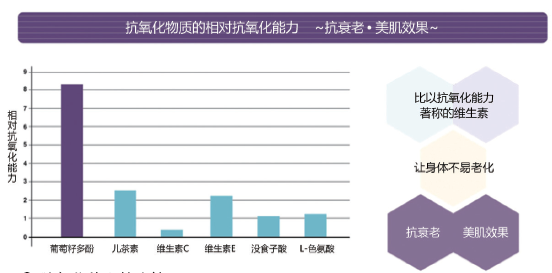 图2. 抗氧化能力的比较