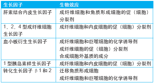 表3. 与成纤维细胞和细胞外基质成分相关的主要生长因子
