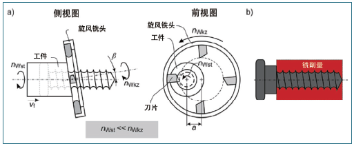 图1. 螺纹旋风铣削的运动过程（a）和旋风铣削切除的材料量（b）（图源： wbk 机构）