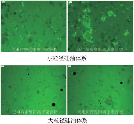 图3. 不同阳离子聚合物的去屑香波絮胶形态