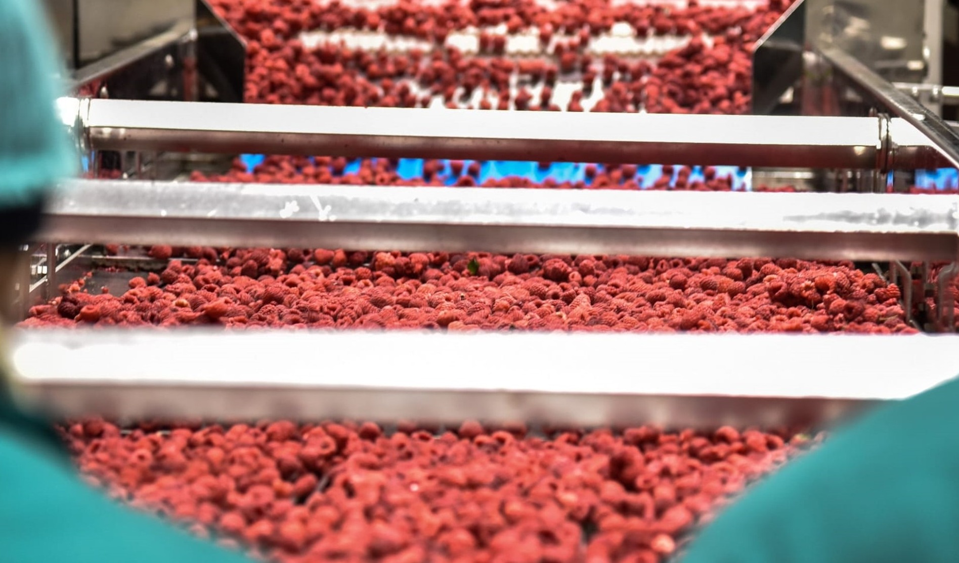 Döhler acquires freeze-dried fruits producer Frikos