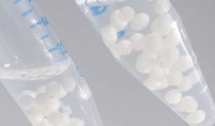 Plastic-eating bacteria turn waste into useful starting materials for other products