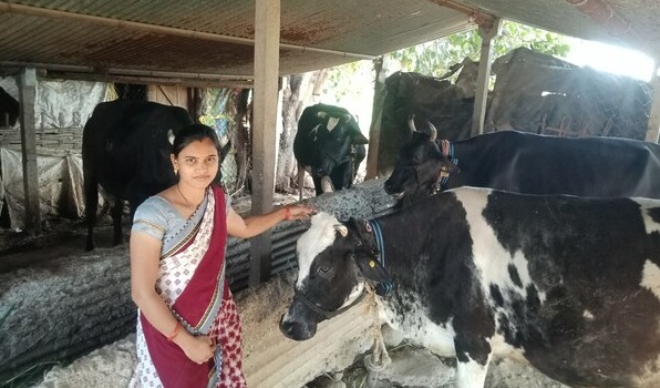Rockwell Automation to modernize dairy farming in India