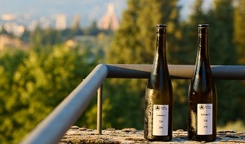 Cultivating innovation on the European sake rice journey