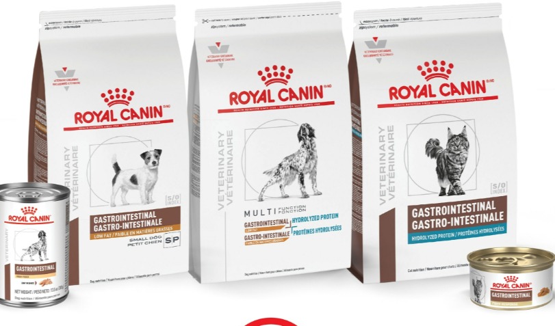 皇家最新推出5款宠物处方食品，集中改善犬猫胃肠道健康水平