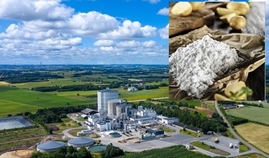 Daymer Ingredients to distribute Danish AKV premium potato starches in the UK