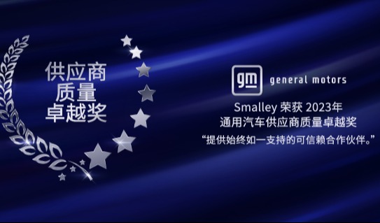 通用汽车连续第 12 年授予 Smalley 高质量挡圈和波簧奖