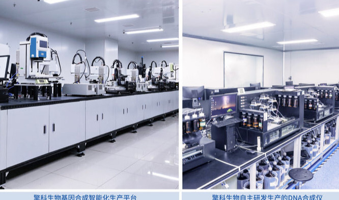 擎科生物：基因合成引擎推动产业高质量发展