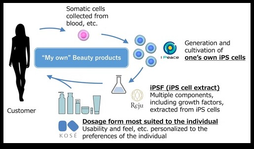 KOSÉ, I Peace, and Reju to develop personalised beauty products based on iPS cells