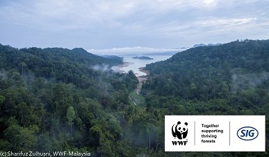 SIG launches project with WWF Switzerland to support forests in Malaysia