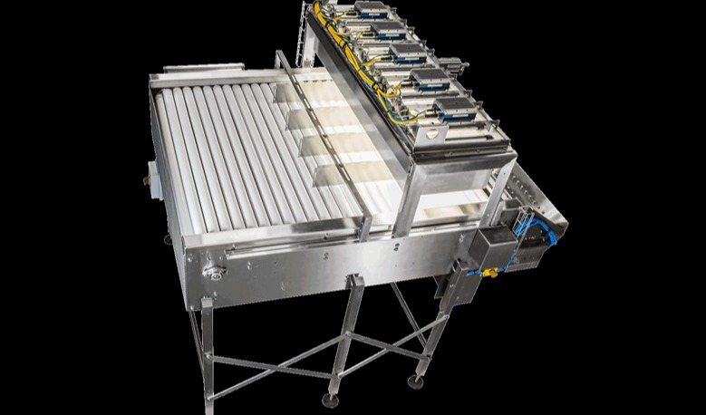 AI-based inspection system for potato processors