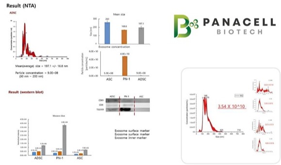 Panacell Biotech's exosome production method patent registered as original technology