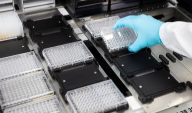 High-throughput testing – ensuring safe cosmetics with cutting-edge robotics