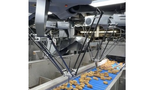 AI-based robotic potato sorter improves product grading