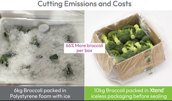 StePacPPC offers greener, safer packaging solution for broccoli