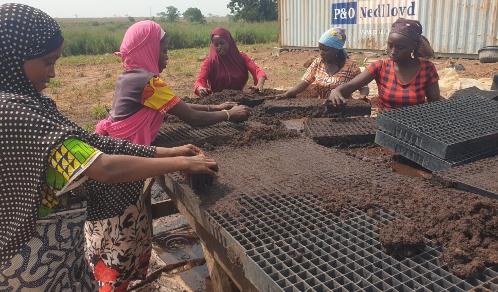 Tomato Jos wins the 2024 SAVE FOOD project competition