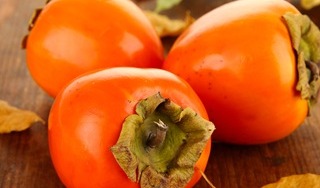 Euromed's clinically proven persimmon extract for weight management