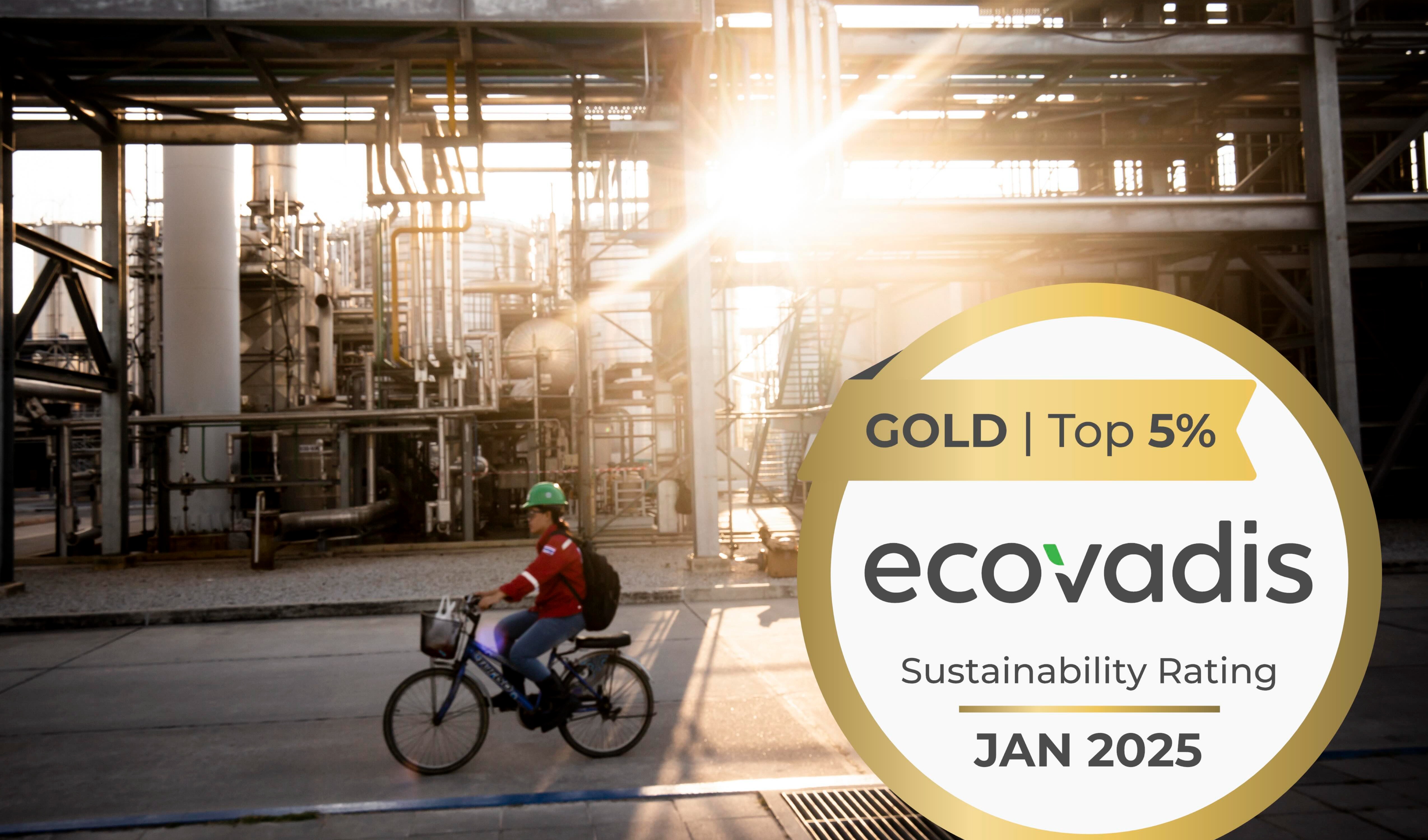 TotalEnergies Corbion receives gold rating from EcoVadis