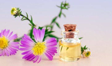 Perfumes & fragrances: Market focused insights