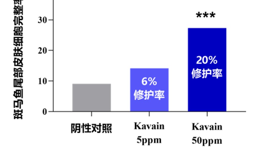 卡瓦胡椒的三阶进化，一场舒缓的立体革新