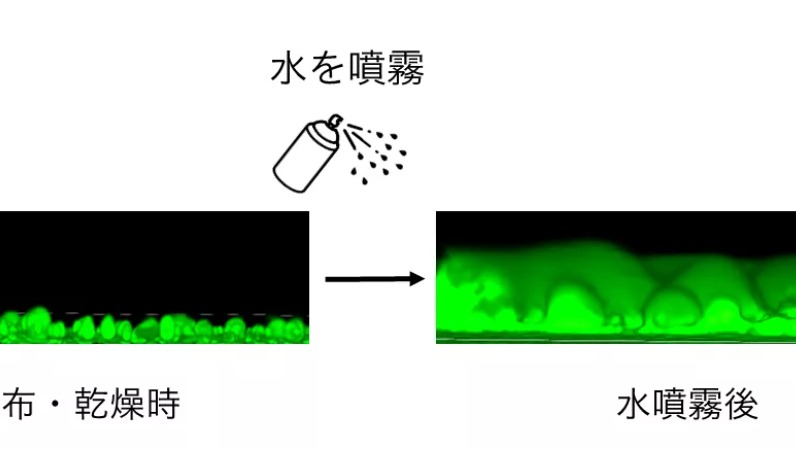 花王开发湿度响应型防晒膜技术，结合琼脂水凝胶胶囊与高吸水性聚合物