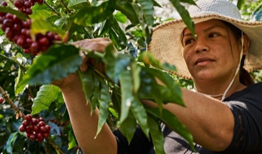 Women’s inclusion: The key to accelerating climate action