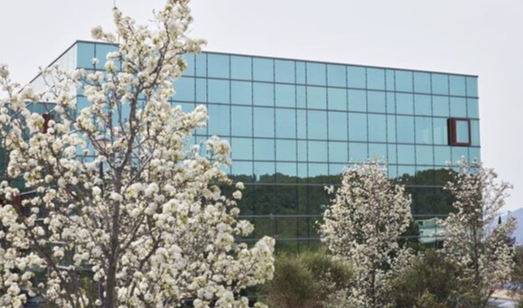 Eurofragance strengthens market position with €180M in sales for 2024