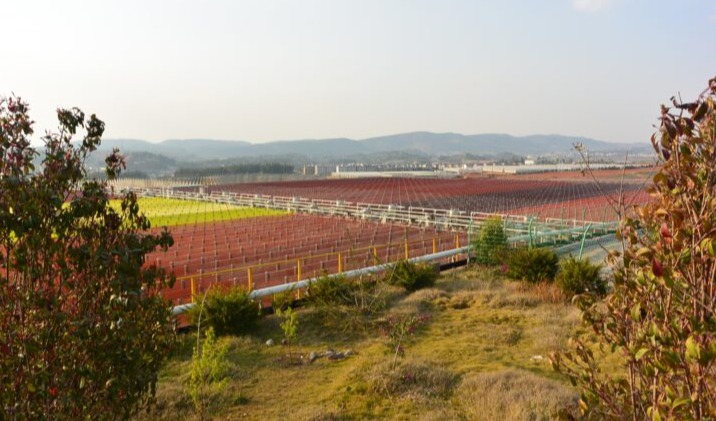 BGG宣布对全球最大的虾青素工厂进行重大新投资，扩大加强中国生产设施